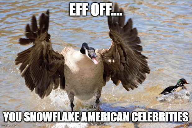 Canadian Goose | EFF OFF.... YOU SNOWFLAKE AMERICAN CELEBRITIES | image tagged in canadian goose,election 2024 american celebrities | made w/ Imgflip meme maker