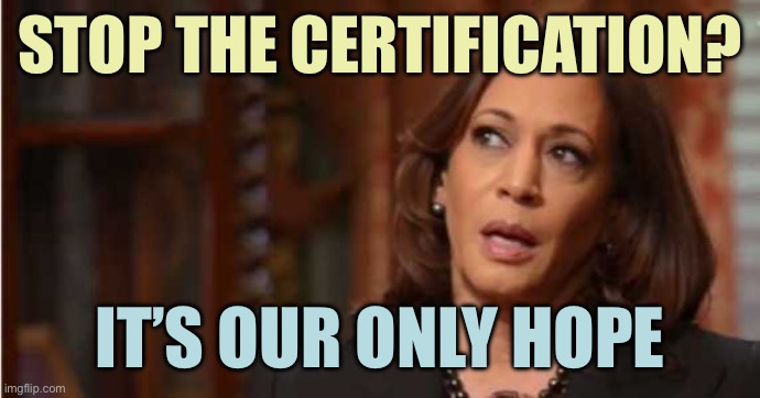 VP Harris | STOP THE CERTIFICATION? IT’S OUR ONLY HOPE | image tagged in kamala harris,memes | made w/ Imgflip meme maker