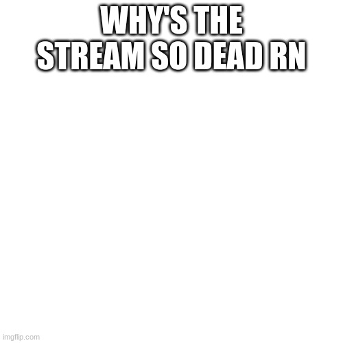 Blank Transparent Square | WHY'S THE STREAM SO DEAD RN | image tagged in memes,blank transparent square | made w/ Imgflip meme maker