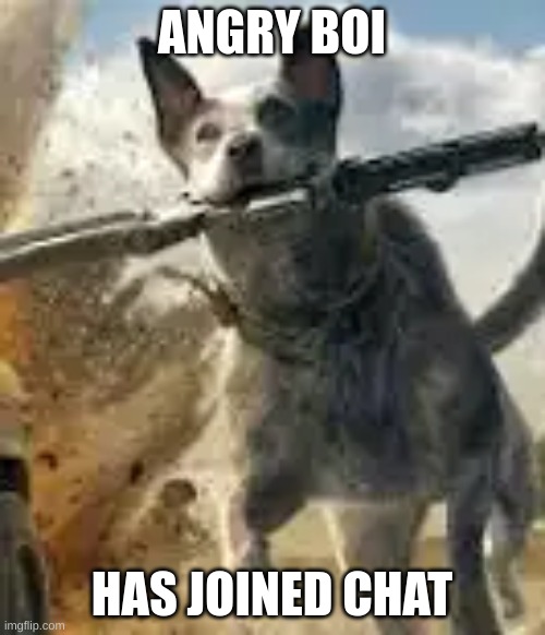 boomer | ANGRY BOI HAS JOINED CHAT | image tagged in boomer | made w/ Imgflip meme maker