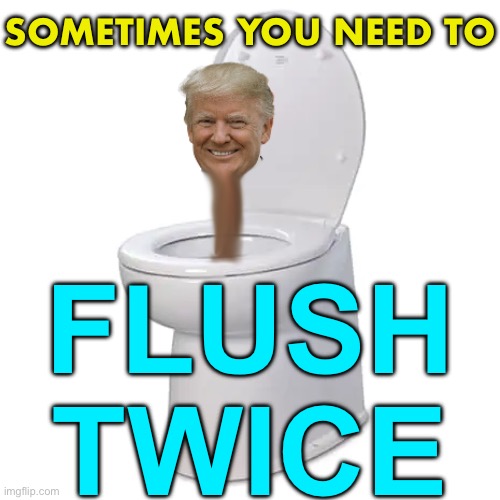 Sometimes You Need To Flush Twice | SOMETIMES YOU NEED TO; FLUSH
TWICE | image tagged in donald trump skibidi toilet,donald trump,trump is an asshole,trump is a moron,donald trump is an idiot,creepy joe biden | made w/ Imgflip meme maker