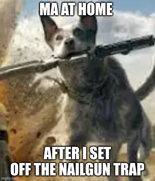 boomer | MA AT HOME AFTER I SET OFF THE NAILGUN TRAP | image tagged in boomer | made w/ Imgflip meme maker