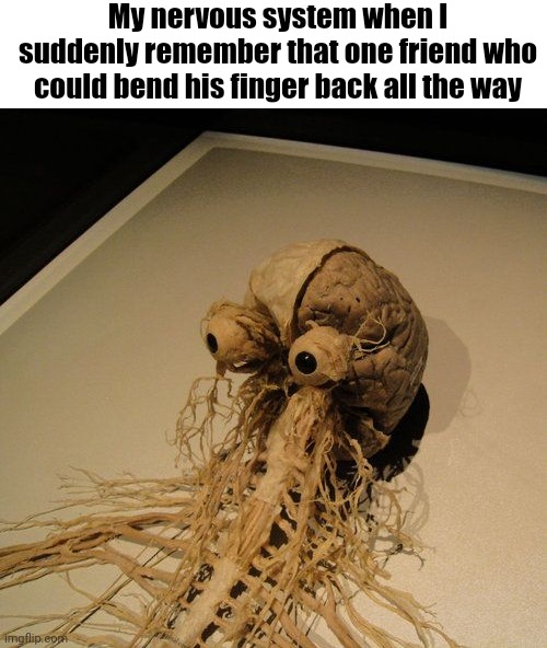 "double jointed" more like "please save me I'm horrified" | My nervous system when I suddenly remember that one friend who could bend his finger back all the way | image tagged in nervous system,double jointed | made w/ Imgflip meme maker