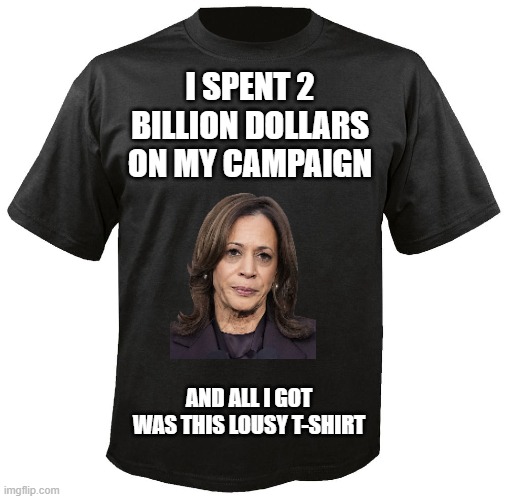 All I got was this T-shirt | I SPENT 2 BILLION DOLLARS ON MY CAMPAIGN; AND ALL I GOT WAS THIS LOUSY T-SHIRT | image tagged in blank t-shirt,kamala harris | made w/ Imgflip meme maker