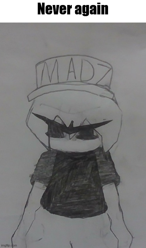 Madnez stare | Never again | image tagged in madnez stare | made w/ Imgflip meme maker
