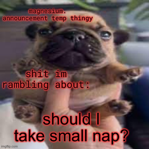 pug temp | should I take small nap? | image tagged in pug temp | made w/ Imgflip meme maker