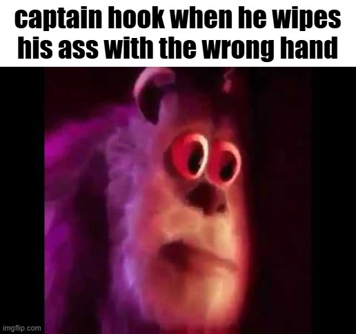 Sully Groan | captain hook when he wipes his ass with the wrong hand | image tagged in memes,funny,funny memes,fun stream,meme,me when | made w/ Imgflip meme maker