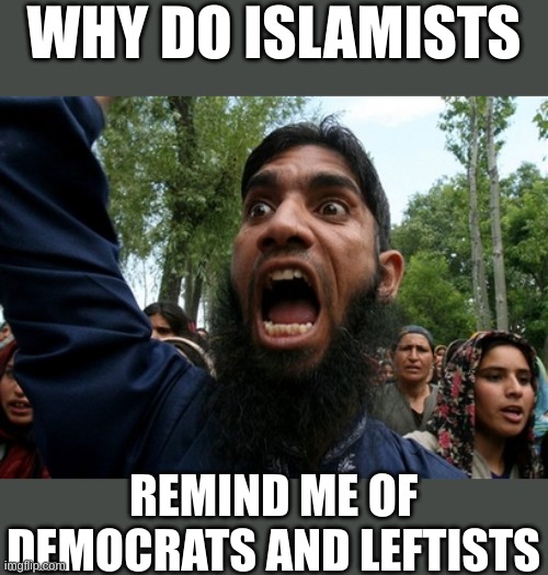 It's a psychosis | WHY DO ISLAMISTS; REMIND ME OF DEMOCRATS AND LEFTISTS | image tagged in rageboy screaming islamist | made w/ Imgflip meme maker