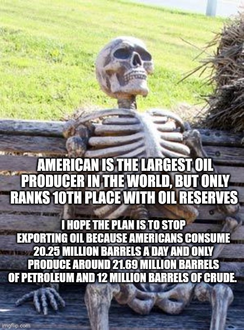 Waiting Skeleton Meme | AMERICAN IS THE LARGEST OIL PRODUCER IN THE WORLD, BUT ONLY RANKS 10TH PLACE WITH OIL RESERVES; I HOPE THE PLAN IS TO STOP EXPORTING OIL BECAUSE AMERICANS CONSUME 20.25 MILLION BARRELS A DAY AND ONLY PRODUCE AROUND 21.69 MILLION BARRELS OF PETROLEUM AND 12 MILLION BARRELS OF CRUDE. | image tagged in memes,waiting skeleton | made w/ Imgflip meme maker