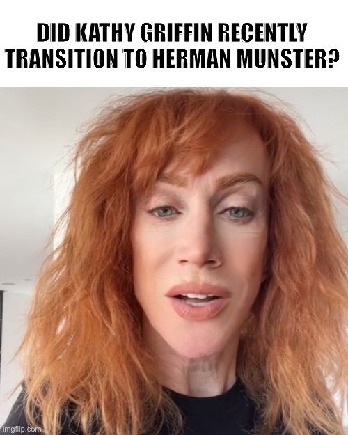 Kathy Griffin | DID KATHY GRIFFIN RECENTLY TRANSITION TO HERMAN MUNSTER? | made w/ Imgflip meme maker