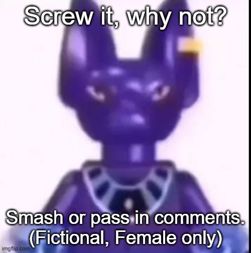 beerus | Screw it, why not? Smash or pass in comments. (Fictional, Female only) | image tagged in beerus | made w/ Imgflip meme maker