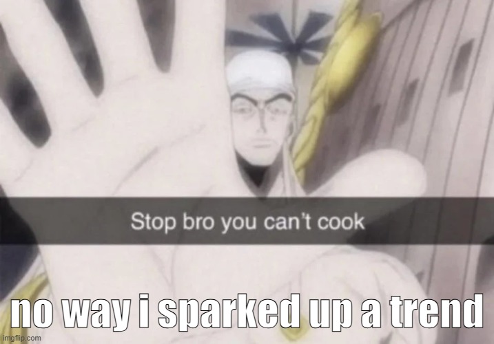 Stop bro you can't cook | no way i sparked up a trend | image tagged in stop bro you can't cook | made w/ Imgflip meme maker