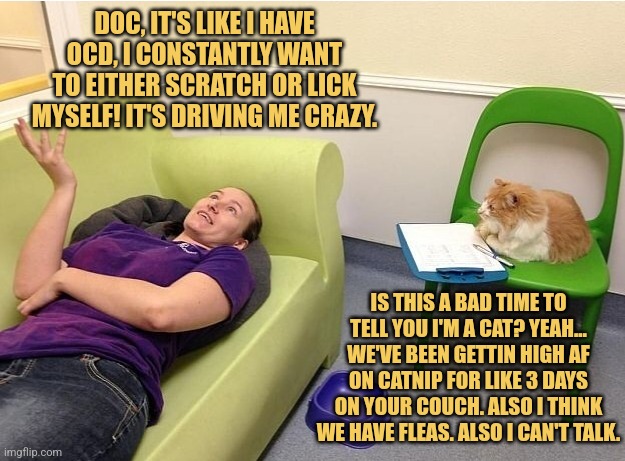 He's the Only One Who Would See Me with No Insurance | DOC, IT'S LIKE I HAVE OCD, I CONSTANTLY WANT TO EITHER SCRATCH OR LICK MYSELF! IT'S DRIVING ME CRAZY. IS THIS A BAD TIME TO TELL YOU I'M A CAT? YEAH... WE'VE BEEN GETTIN HIGH AF ON CATNIP FOR LIKE 3 DAYS ON YOUR COUCH. ALSO I THINK WE HAVE FLEAS. ALSO I CAN'T TALK. | image tagged in cat psychologist,memes,animals,picture punches,therapy | made w/ Imgflip meme maker