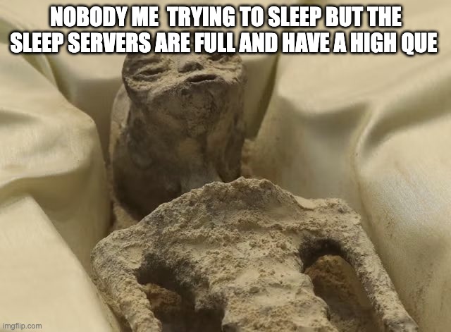 no wonder why i got zero sleep | NOBODY ME  TRYING TO SLEEP BUT THE SLEEP SERVERS ARE FULL AND HAVE A HIGH QUE | image tagged in mexican alien | made w/ Imgflip meme maker