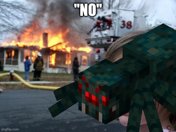 Disaster Girl Meme | "NO" | image tagged in memes,disaster girl | made w/ Imgflip meme maker