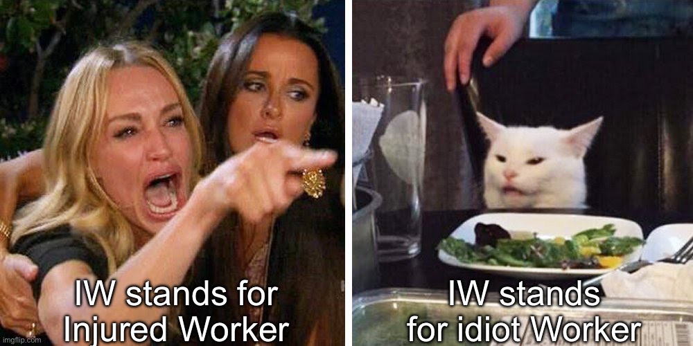 Smudge the cat | IW stands for Injured Worker; IW stands for idiot Worker | image tagged in smudge the cat,injury,worker | made w/ Imgflip meme maker