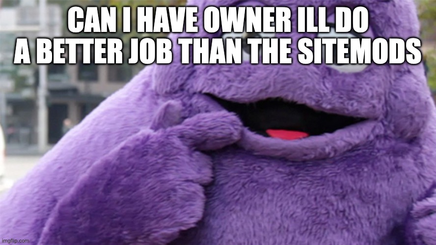 Grimace | CAN I HAVE OWNER ILL DO A BETTER JOB THAN THE SITEMODS | image tagged in grimace | made w/ Imgflip meme maker