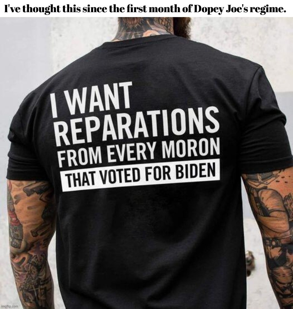 I want reparations from every MORON that voted for Pedohitler. | image tagged in reparations,creepy joe biden,poopy pants,pedo joe,stupid liberals,useful idiots | made w/ Imgflip meme maker