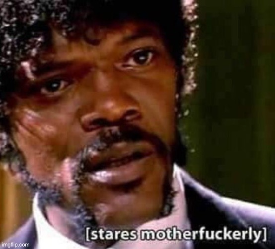 Motherduckerly stares | image tagged in samuel jackson pulp fiction motherfucker | made w/ Imgflip meme maker