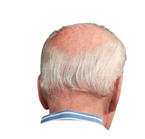 joe biden back of head Blank Meme Template