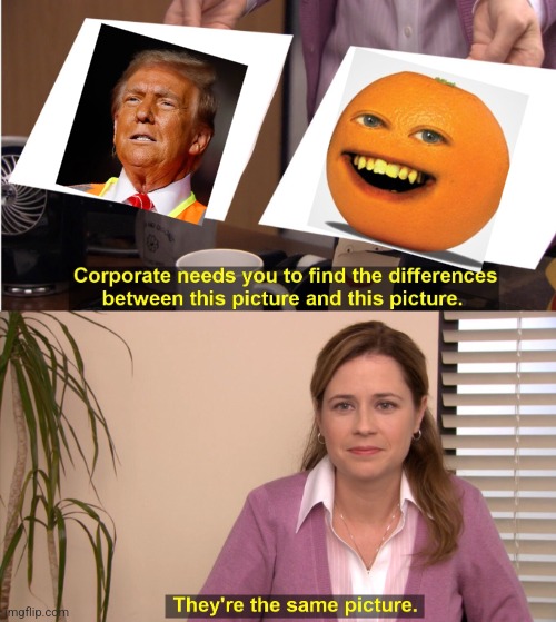 trump orange man | image tagged in memes,they're the same picture,annoying orange,donald trump,anti trump meme,trump | made w/ Imgflip meme maker