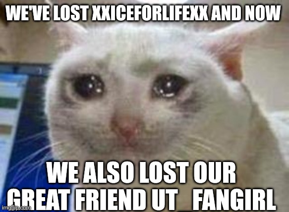 NOOOOOOOOOOOOOOOOOOOOOOOOOOOOOOOOOOOOOOOOOOOOOOOOOOOOOOOOOOOOOOOOOOO | WE'VE LOST XXICEFORLIFEXX AND NOW; WE ALSO LOST OUR GREAT FRIEND UT_FANGIRL | image tagged in sad cat,nooooooooooooooooooooooooooo | made w/ Imgflip meme maker