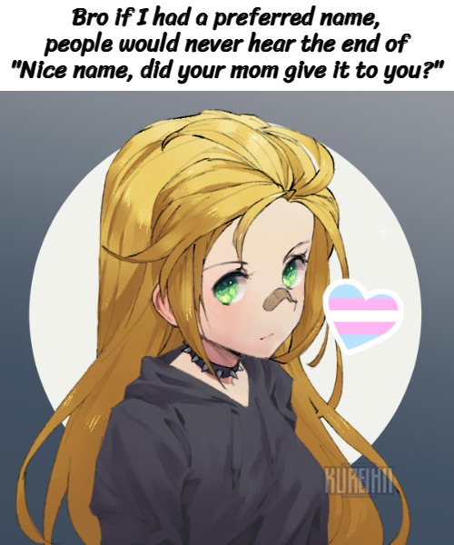 I could do it now but I need to be immune to my own joke | Bro if I had a preferred name, people would never hear the end of "Nice name, did your mom give it to you?" | image tagged in holly but i feel a little trans today | made w/ Imgflip meme maker