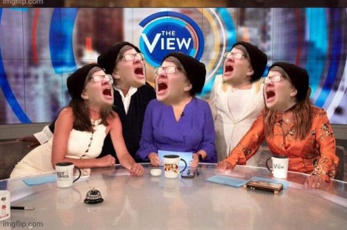 Crying liberals on the view Blank Meme Template