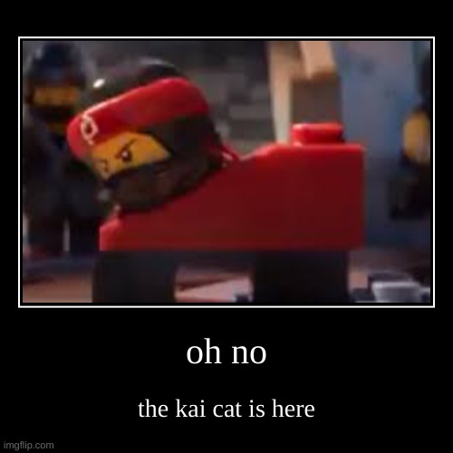 oh no | the kai cat is here | image tagged in funny,demotivationals | made w/ Imgflip demotivational maker