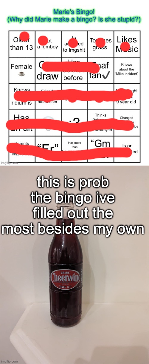 this is prob the bingo ive filled out the most besides my own | image tagged in the marie bingo,cheerwine | made w/ Imgflip meme maker