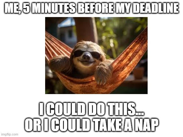 ME, 5 MINUTES BEFORE MY DEADLINE; I COULD DO THIS... OR I COULD TAKE A NAP | made w/ Imgflip meme maker