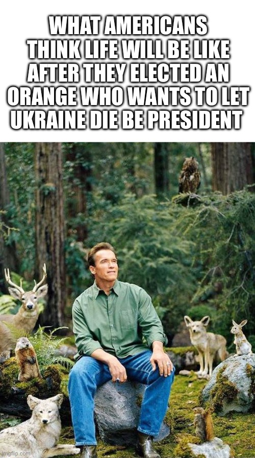 Perfection | WHAT AMERICANS THINK LIFE WILL BE LIKE AFTER THEY ELECTED AN ORANGE WHO WANTS TO LET UKRAINE DIE BE PRESIDENT | image tagged in arnold nature,memes,politics,donald trump,election,russo-ukrainian war | made w/ Imgflip meme maker