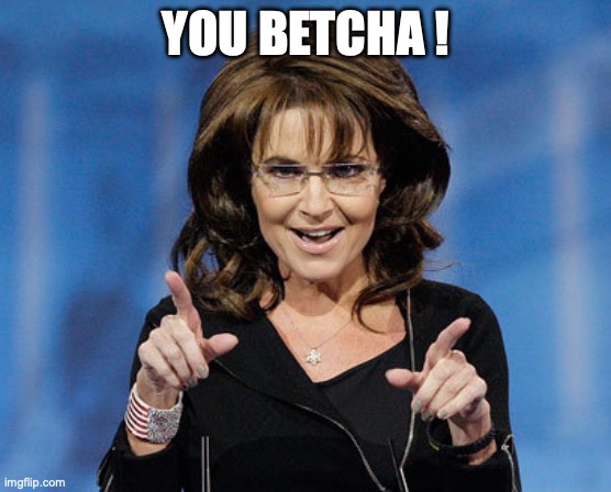 YOU BETCHA ! | image tagged in sarah palin two finger pointing | made w/ Imgflip meme maker