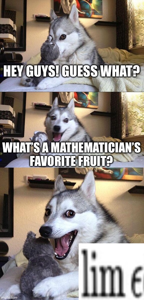 Lim3 | HEY GUYS! GUESS WHAT? WHAT’S A MATHEMATICIAN’S FAVORITE FRUIT? | image tagged in memes,bad pun dog,fruit,pun,funny,math | made w/ Imgflip meme maker