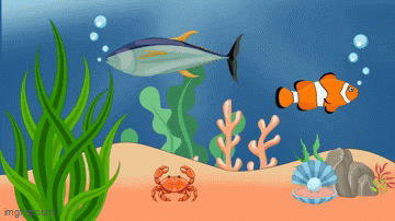 Animated GIF - Imgflip