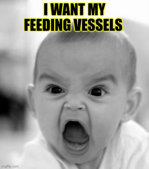 Angry Baby Meme | I WANT MY FEEDING VESSELS | image tagged in memes,angry baby | made w/ Imgflip meme maker