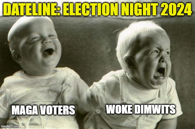 November 5th, 2024 Results | DATELINE: ELECTION NIGHT 2024; MAGA VOTERS; WOKE DIMWITS | image tagged in democrats,liberals,woke,leftists,kamala harris,election 2024 | made w/ Imgflip meme maker