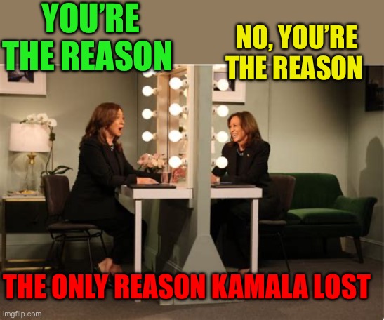 Look no further than the mirror | YOU’RE THE REASON; NO, YOU’RE THE REASON; THE ONLY REASON KAMALA LOST | image tagged in gifs,democrats,kamala harris,excuses,incompetence | made w/ Imgflip meme maker