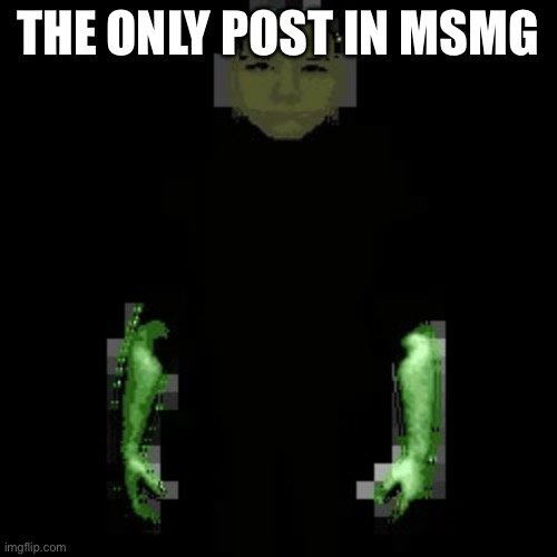 Garn47 (V2) | THE ONLY POST IN MSMG | image tagged in garn47 v2 | made w/ Imgflip meme maker