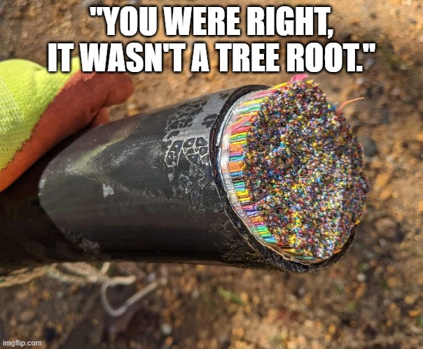 Backhoe always finds the cable | "YOU WERE RIGHT,
IT WASN'T A TREE ROOT." | image tagged in tech,technology,network | made w/ Imgflip meme maker