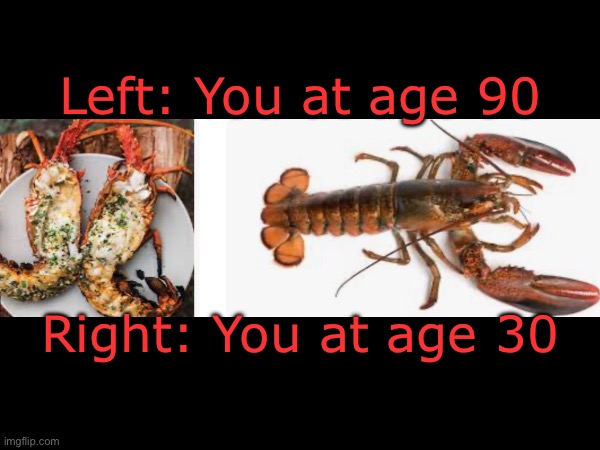 Lobster aging | Left: You at age 90; Right: You at age 30 | image tagged in lobster,aging,seafood,meat | made w/ Imgflip meme maker