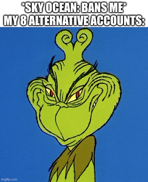 *mod note* don't change the title dumbass | *SKY OCEAN: BANS ME*
MY 8 ALTERNATIVE ACCOUNTS: | image tagged in grinch smile | made w/ Imgflip meme maker