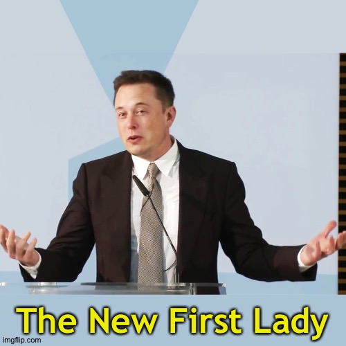 We're seeing Melania less and less and Elon more and more | The New First Lady | image tagged in elon musk | made w/ Imgflip meme maker