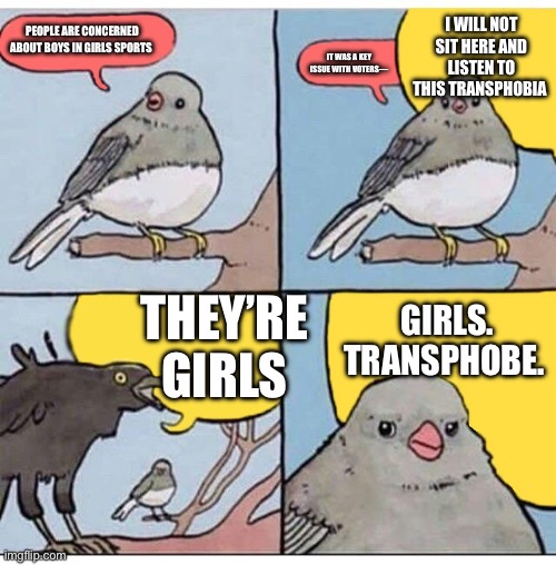 annoyed bird | I WILL NOT SIT HERE AND LISTEN TO THIS TRANSPHOBIA; PEOPLE ARE CONCERNED ABOUT BOYS IN GIRLS SPORTS; IT WAS A KEY ISSUE WITH VOTERS—; THEY’RE GIRLS; GIRLS. TRANSPHOBE. | image tagged in annoyed bird | made w/ Imgflip meme maker