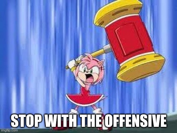 I love skyocean | STOP WITH THE OFFENSIVE | image tagged in angry amy rose | made w/ Imgflip meme maker