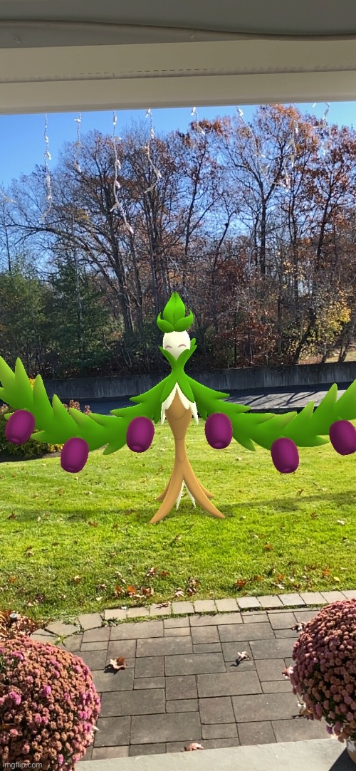 DAMN!!!!!!!!!! Blud’s big | made w/ Imgflip meme maker