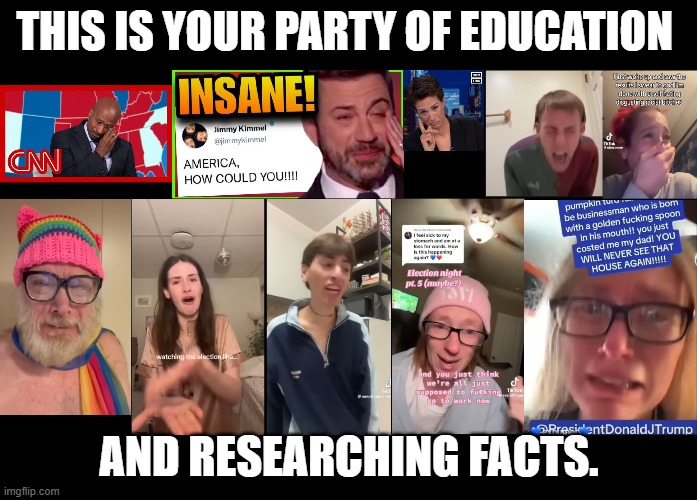 THIS IS YOUR PARTY OF EDUCATION; AND RESEARCHING FACTS. | THIS IS YOUR PARTY OF EDUCATION; AND RESEARCHING FACTS. | image tagged in leftists losing it,crying democrats,leftist salt mine | made w/ Imgflip meme maker