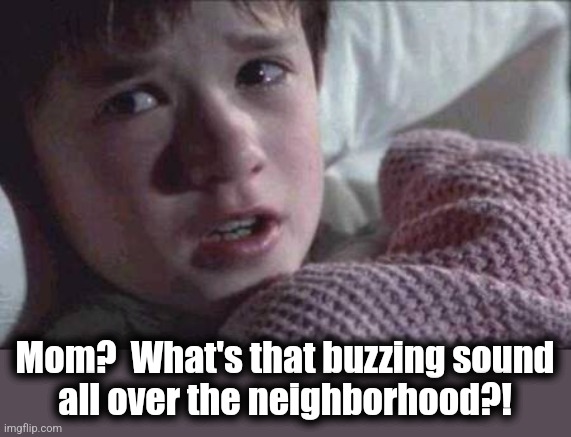 I See Dead People Meme | Mom?  What's that buzzing sound
all over the neighborhood?! | image tagged in memes,i see dead people | made w/ Imgflip meme maker