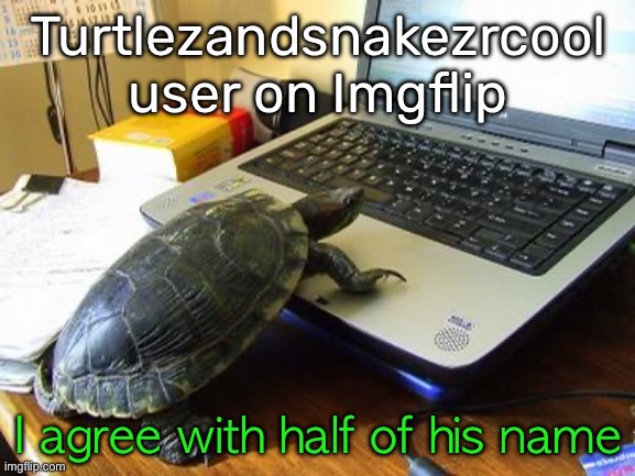 Turtlez must think I’m cool now | Turtlezandsnakezrcool
user on Imgflip; I agree with half of his name | image tagged in turtle computer,turtle,computer,imgflip users,usernames,imgflip user | made w/ Imgflip meme maker