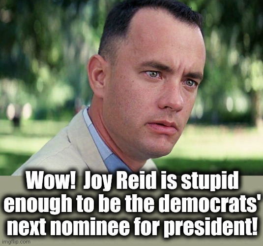 And Just Like That Meme | Wow!  Joy Reid is stupid enough to be the democrats' next nominee for president! | image tagged in memes,and just like that | made w/ Imgflip meme maker